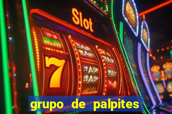 grupo de palpites de futebol whatsapp